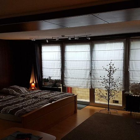 Koln-Bonn Appartment Wesseling Zewnętrze zdjęcie