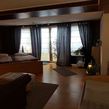 Koln-Bonn Appartment Wesseling Zewnętrze zdjęcie