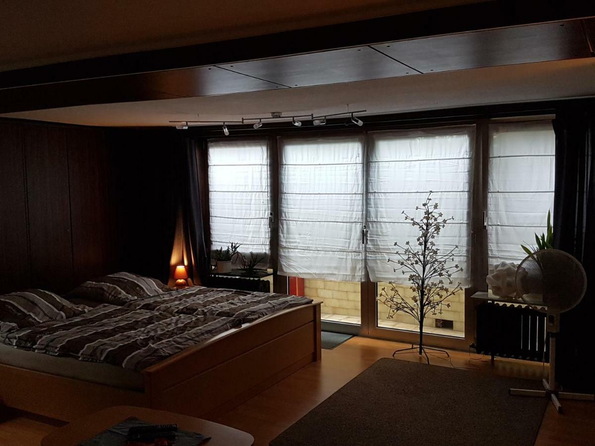 Koln-Bonn Appartment Wesseling Zewnętrze zdjęcie