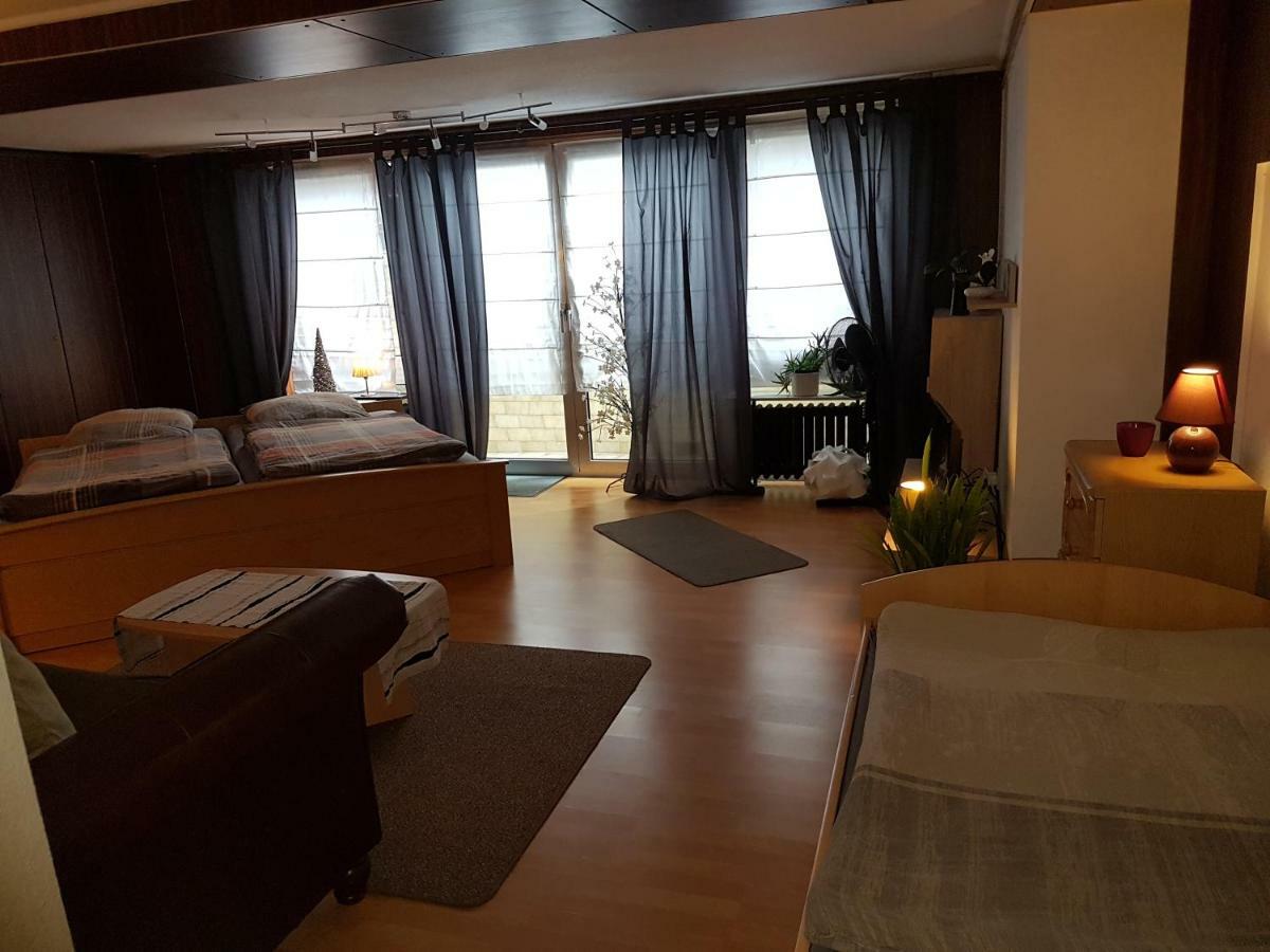 Koln-Bonn Appartment Wesseling Zewnętrze zdjęcie