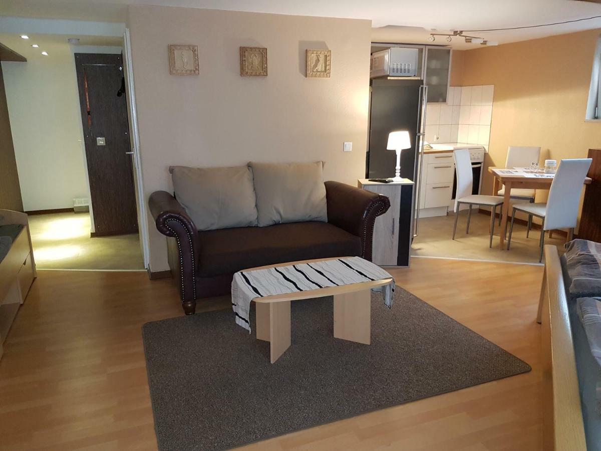Koln-Bonn Appartment Wesseling Zewnętrze zdjęcie